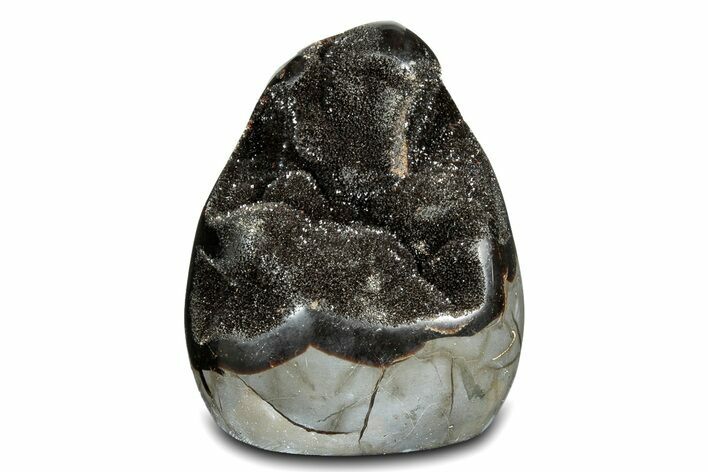 Free-Standing, Polished Septarian Geode - Black Crystals #302881